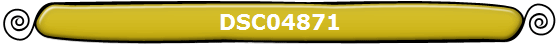 DSC04871