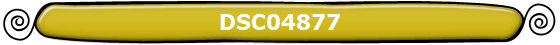 DSC04877
