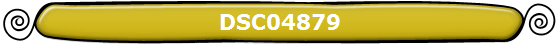 DSC04879