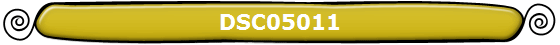 DSC05011