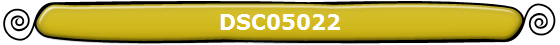 DSC05022