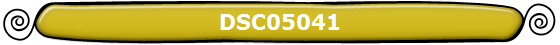 DSC05041
