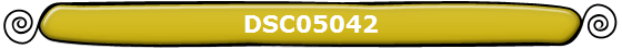 DSC05042
