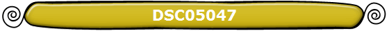 DSC05047