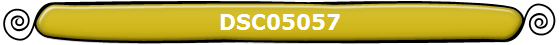DSC05057