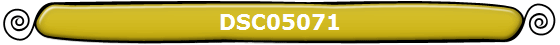 DSC05071