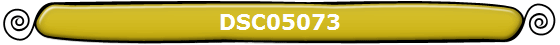 DSC05073