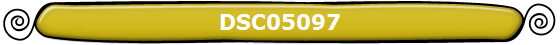 DSC05097