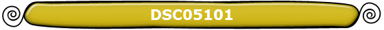 DSC05101